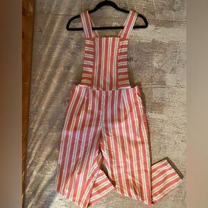 Birds of North America bunting overalls